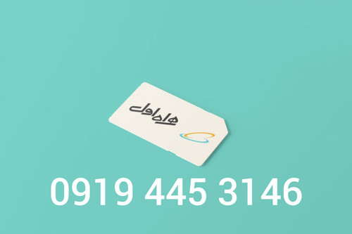 ۰۹۱۹۴۴۵۳۱۴۶