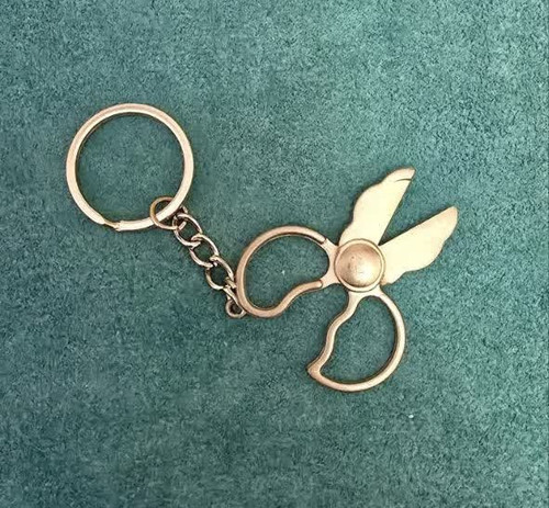 جاسوئیچی قیچی